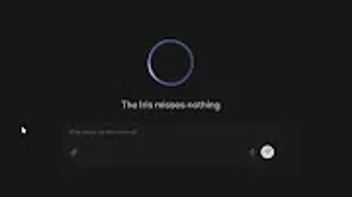 The Iris console inside the SeamLess client: a ring mark above a single line of text, with a message composer beneath it on a dark ground.
